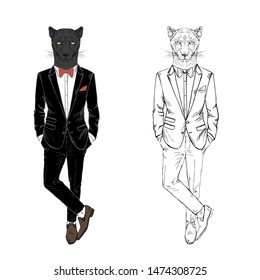 Panther man dressed up in tuxedo. Anthropomorphic fashion wild cat animal illustration. Hipster Black Leopard.