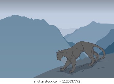 panther in the mountains, vector