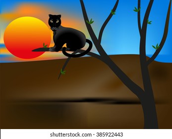 Panther on a tree branch at sunset.