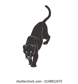 Pantera de fondo blanco. Animal salvaje vectorial. Safari.