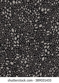 Panther pardus pattern