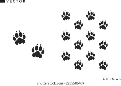 Panther paw print set. Isolated paw prints on white background