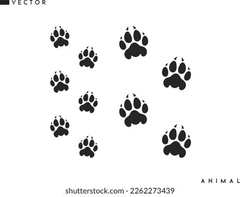 Panther paw print vector. Isolated paw prints on white background. Wild animal