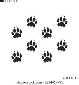 Panther paw prints. Wild animal