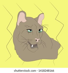 panther portrait vector illustration on bright background, vector