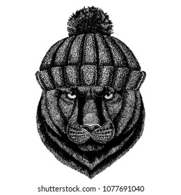 Panther Puma Cougar Wild cat Cool animal wearing knitted winter hat. Warm headdress beanie Christmas cap for tattoo, t-shirt, emblem, badge, logo, patch