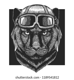 Panther, Puma, Cougar, Wild cat wearing aviator hat. Print for children clothes, tee, t-shirt. Pilot wild animal