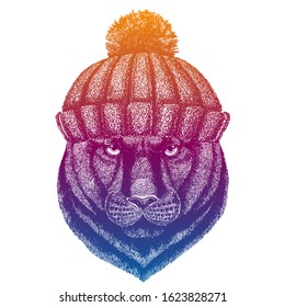 Panther, puma, cougar, wild cat. Ski, skier animal wearing woolen knitted hat. Christmas time. Cartoon character for little children. Kids print for tee