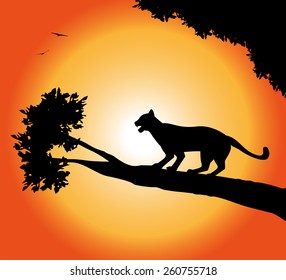 panther silhouette