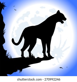 panther silhouette in the night and full moon