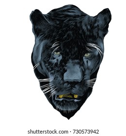 Panther sketch head vector graphics color picture