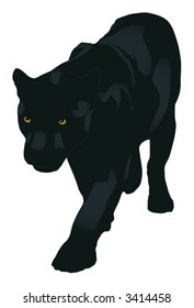 the panther (vector)