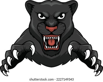 panther  vector design illustration