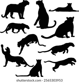 Panther vector silhouettes	 isolated on white background