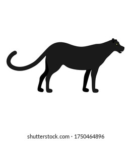 Panther vector. Wild animal print illustration isolated on white