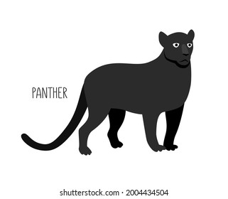Panther is a wild cat. Title. Vector flat illustration of animal isolated on white background.