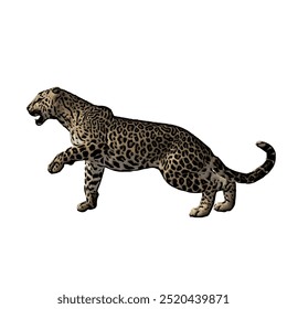 Panthera jaguar vetor animal ilustração design isolado 