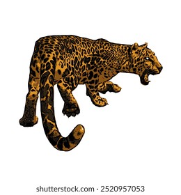 Panthera jaguar vector animal ilustration isolated design 