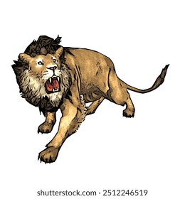 Panthera leo, desenho vetorial de ilustração animal isolado de leão 