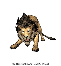 Panthera leo, desenho vetorial de ilustração animal isolado de leão 