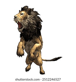 Panthera leo, desenho vetorial de ilustração animal isolado de leão 