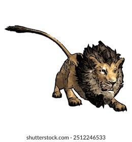 Panthera leo, desenho vetorial de ilustração animal isolado de leão 