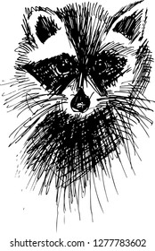 Panting of a raccoon, made in the style of hatching. Cute animal.