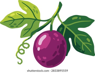 Panting Style Passion Vine Fruit