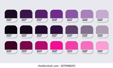 Pantone Colour Palette Catalog Samples purple in RGB HEX. Neomorphism Vector