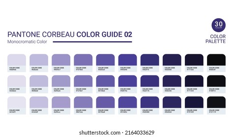 Pantone Corbeau Monochromatic Color Guide 02