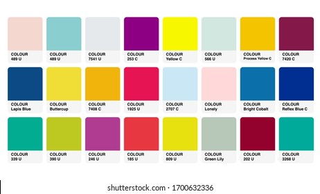 Pantone Mix Catalog Colour Guide Book Stock Vector (Royalty Free ...