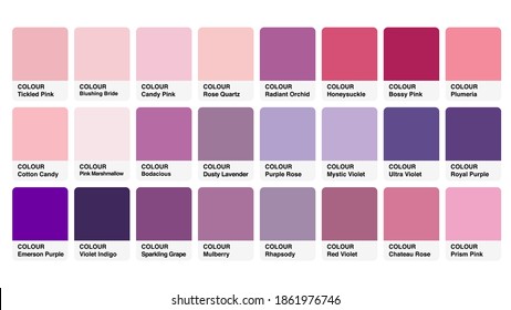 Pantone Pink & Purple Colour Catalog Guide Book Cards Samples Inspiration Illustration Template in RGB Vector for Everyday Use