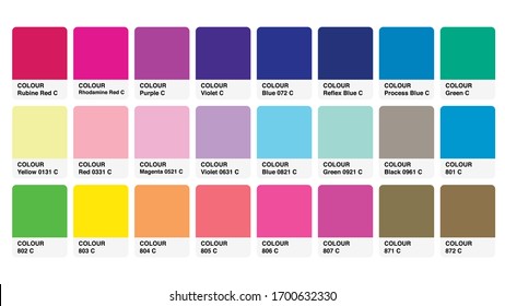Pantone Trendy Colour Catalog Guide Book Cards Samples Inspiration Illustration Template in RGB Vector for Everyday Use