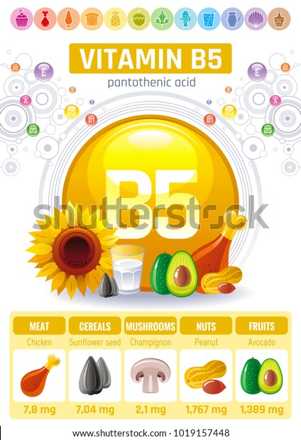 Pantothenic Acid Vitamin B5 Rich Food Stock Vector (Royalty Free ...