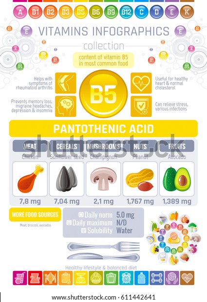 Pantothenic Acid Vitamin B5 Rich Food Stock Vector (Royalty Free ...