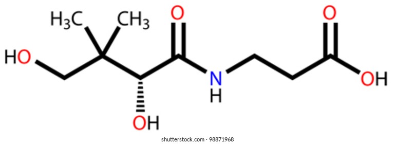 Pantothenic acid (vitamin B5) structural formula