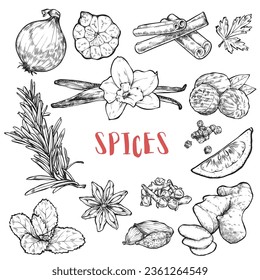 Pantry spice jar seasoning label sticker organizer set. Cardboard food labels or stickers for kitchen food containers with spices. Labels, stickers, craft decals, floral frame and spice name