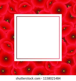 Papaver rhoeas Banner Card or common poppy,corn poppy,corn rose,field poppy,Flanders poppy or red poppy. Vector Illustration.