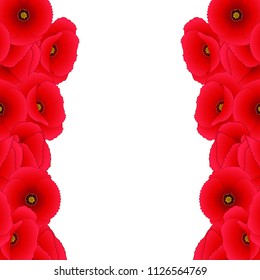 Papaver rhoeas Border (or common poppy,corn poppy,corn rose,field poppy,Flanders poppy or red poppy) isolated on White Background. Vector Illustration.