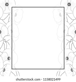 Papaver rhoeas Outline Banner Card Border or common poppy,corn poppy,corn rose,field poppy,Flanders poppy or red poppy. isolated on White Background. Vector Illustration.