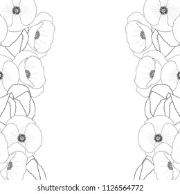 Papaver rhoeas Outline Border (or common poppy,corn poppy,corn rose,field poppy,Flanders poppy or red poppy) isolated on White Background. Vector Illustration.