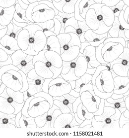 Papaver rhoeas Outline Seamless Background or common poppy,corn poppy,corn rose,field poppy,Flanders poppy or red poppy. Vector Illustration.