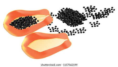 Papaya is a beautiful color with black seeds. Vector  Illustration