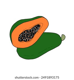Papaya Vector de dibujos animados ilustración de dibujos animados