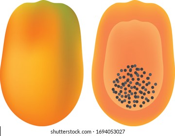 ilustración de corte papaya y papaya en fondo blanco