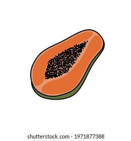 papaya doodle icon, vector illustration