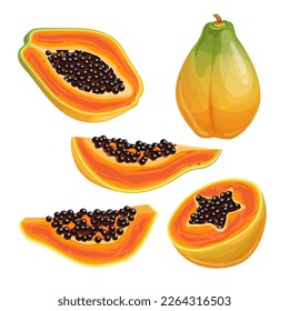 papaya food fruit fresh set cartoon. ripe tropical sweet, healthy cut, exotic dessert, orange natural, half slice, juicy papaya food fruit fresh vector illustration