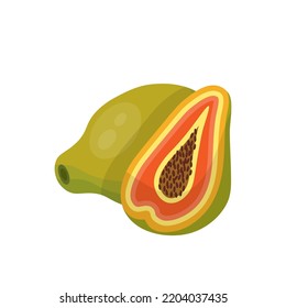 Papaya, fresh and raw tropical fruit with green peel vector illustration. Cartoon isolated whole ripe exotic papaya, cut in half with black seeds, juicy vitamin sweet pieces and dessert for eating