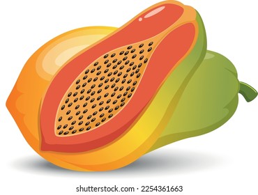 Papaya fruit cartoon style, isolated on white