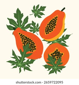 Papaya Fruit Clipart Vetor Conjunto com Folhas em Estilo Vintage Plano para Poster de Verão, Comida Orgânica e Design de Ilustração de Cozinha